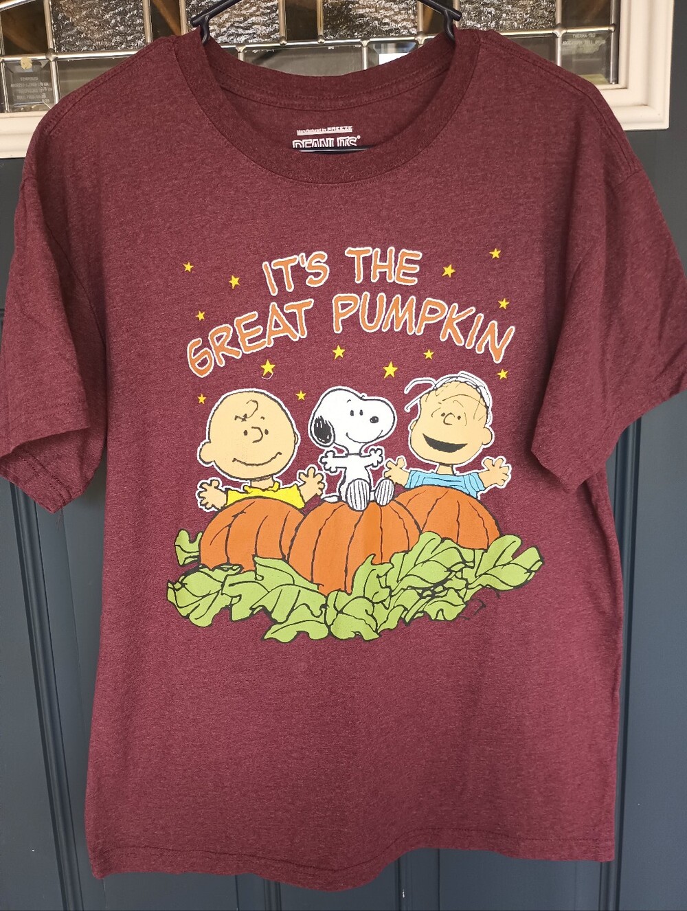 Peanuts It's The Great Pumpkin T Shirt Sz M Charlie Brown Halloween Spooky